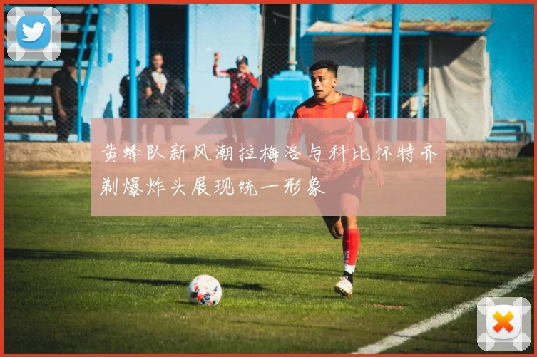 黄蜂队新风潮拉梅洛与科比怀特齐剃爆炸头展现统一形象