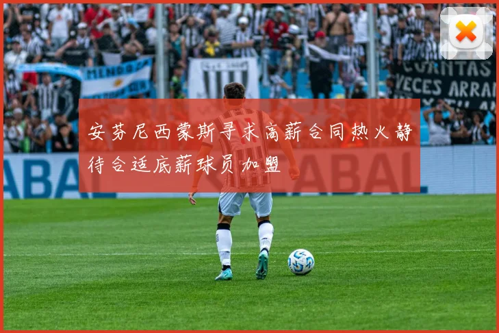 安芬尼西蒙斯寻求高薪合同热火静待合适底薪球员加盟